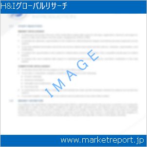 市場と産業調査レポートのイメージ